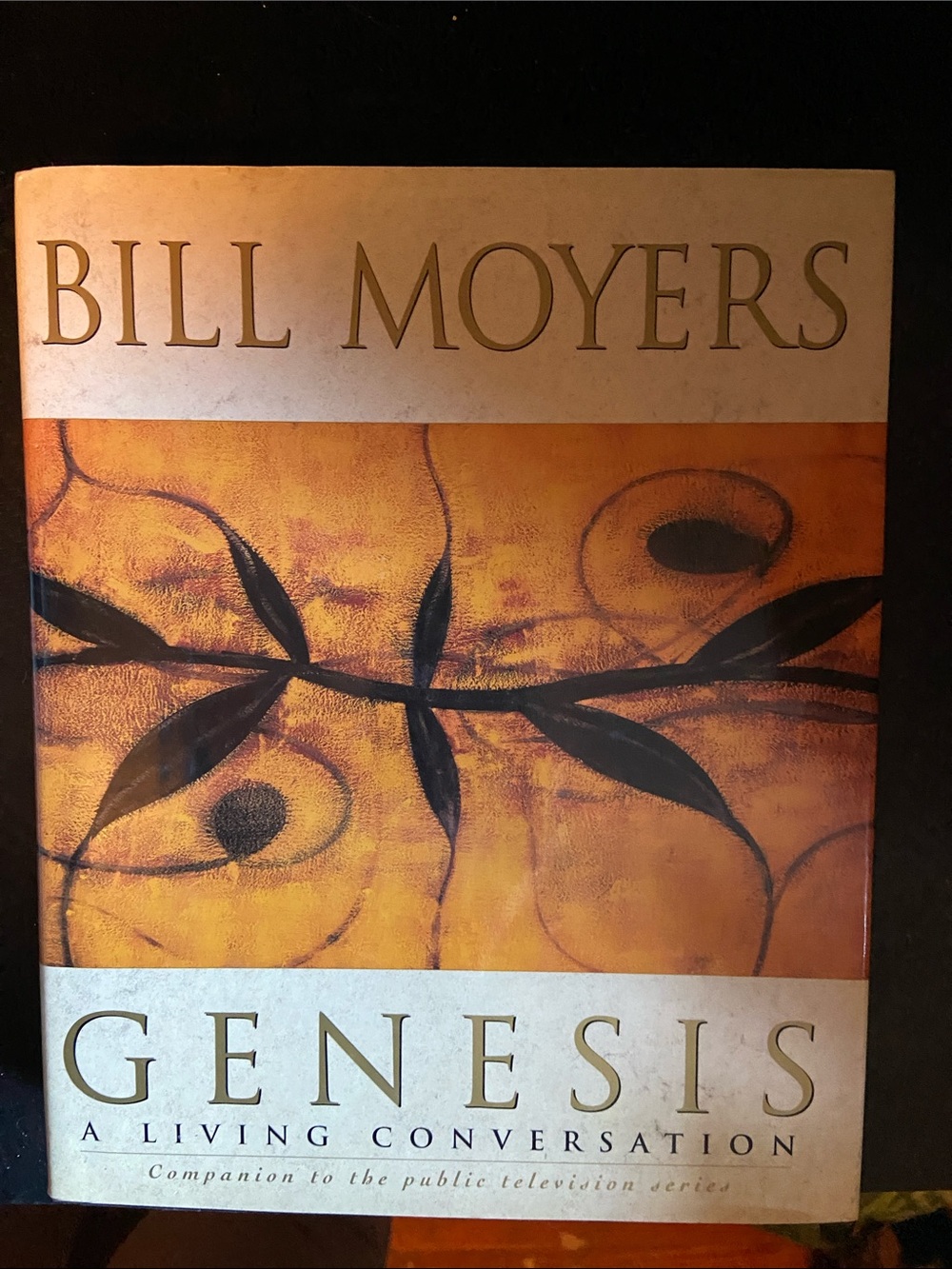 90s Genesis Creation Religious Philosophy Religion Bible Old Testament book PBS